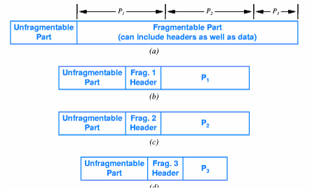 2441_FRAGMENTATION Format.png